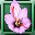 Saffron Flower icon